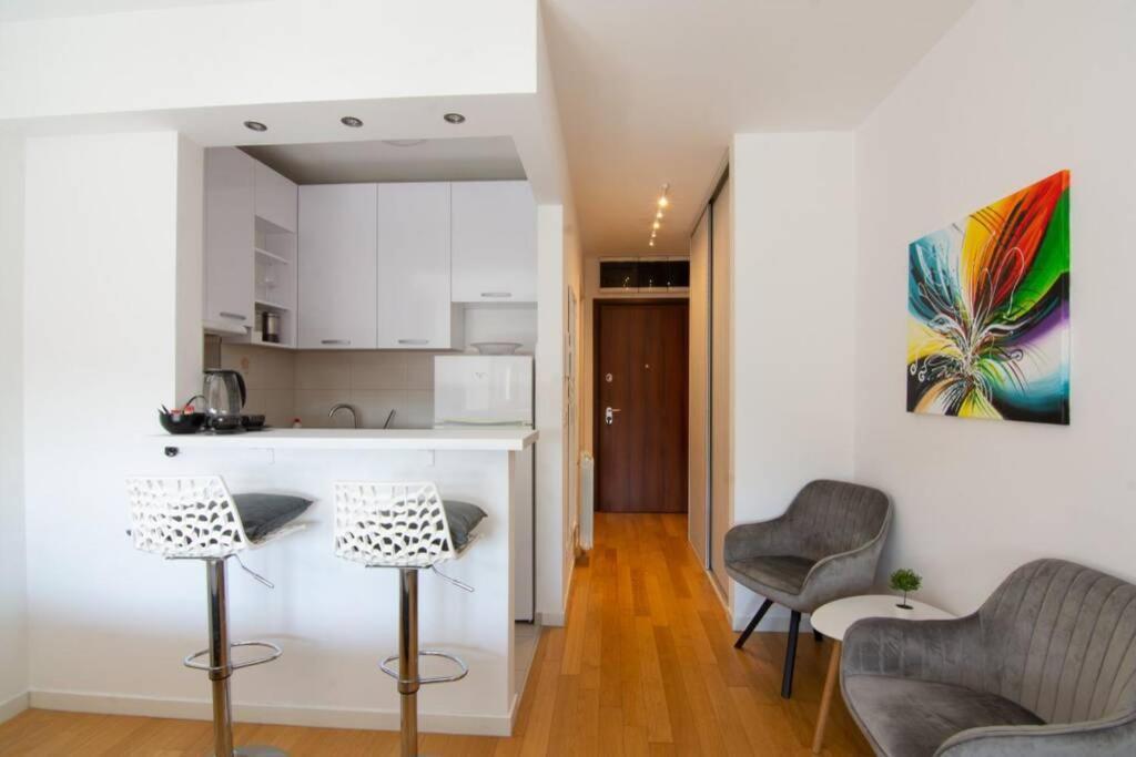A Blok New Modern - Free Garage Parking, Comfortable, Quiet With A Park View Belgrado Buitenkant foto